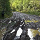 3. Лужи на равнинных участках дороги